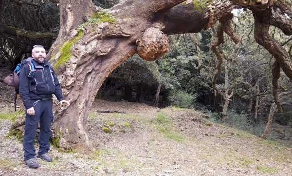 Il Monte Arci, i suoi segreti e l’ossidiana: un viaggio con “Sardegna Fuori Rotta”