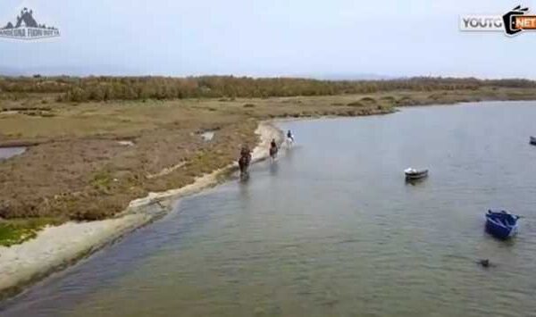 In sella ai cavalli alla scoperta della laguna: “Sardegna fuori rotta” a San Giovanni Suergiu