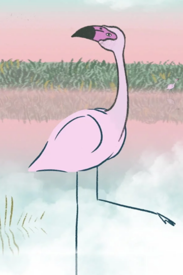 Un-fenicottero-di-nome-tango-vert