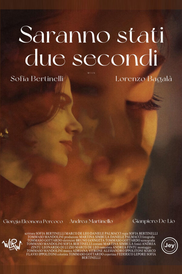 saranno-stati-due-secondi-vert[1]