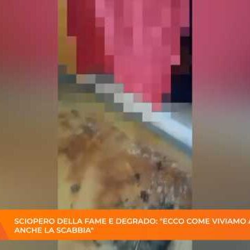 Il Tg della Sera – 24 Aprile 2026