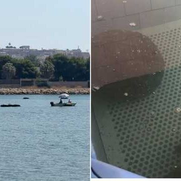 Nuova moria di cozze alla laguna di Santa Gilla: perse 150 tonnellate