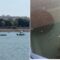 Nuova moria di cozze alla laguna di Santa Gilla: perse 150 tonnellate