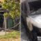 Cagliari, due incendi in poche ore: colpita l’edicola di viale Diaz e quattro auto in via Ada Negri