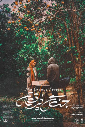 The orange frost 3