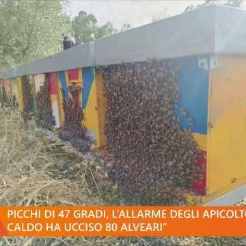 Il Tg del mattino – 17 luglio 2026