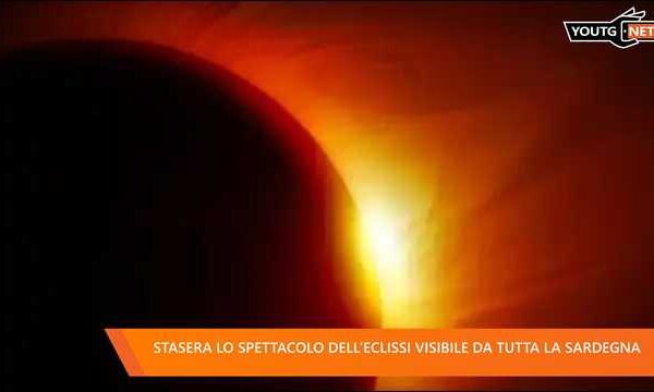 Il Tg della sera – 12 Agosto 2026