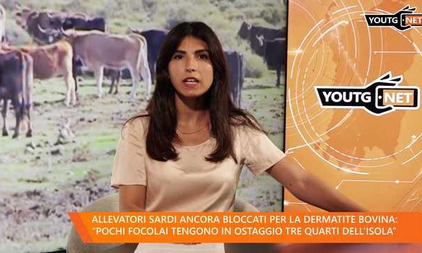 Il Tg del mattino – 3 Settembre 2026